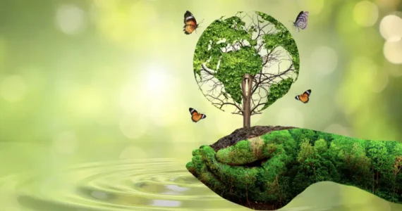 El sector químico propone metas ambientales equitativas para asegurar el desarrollo de México